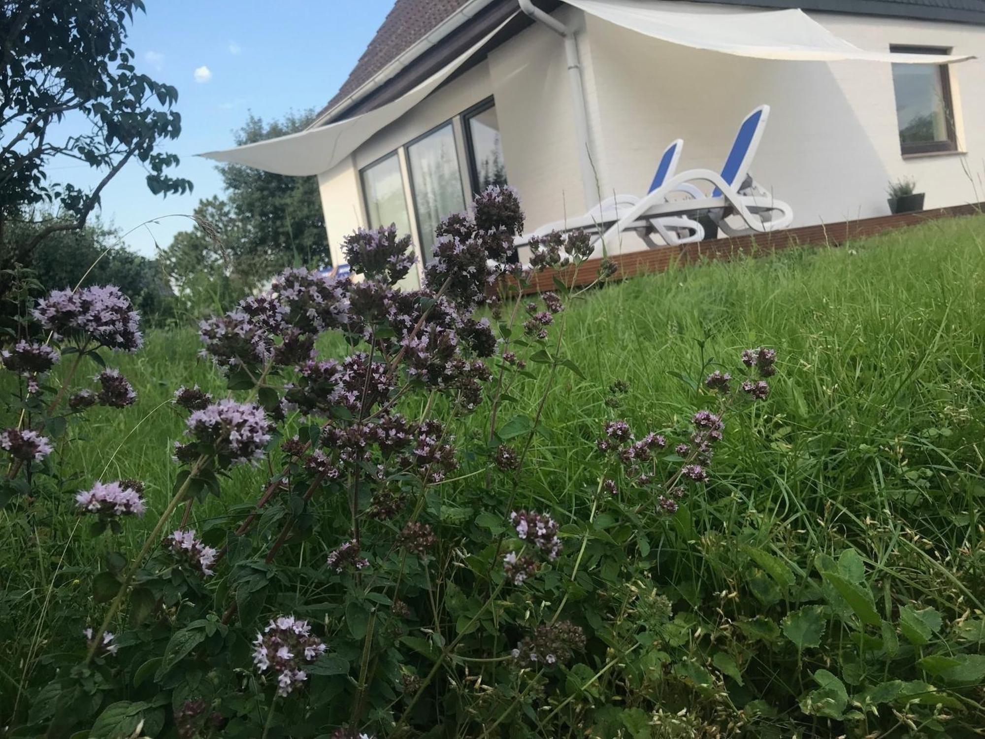 Casa Marcu Wohnung 2 Eg Landkirchen Exterior foto